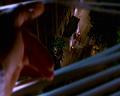 PDVD_2229