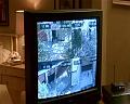PDVD_2329