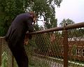 PDVD_3024