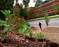 PDVD_3029