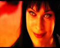 PDVD_313.jpg