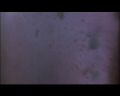 PDVD_839.jpg