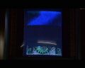 PDVD_900.jpg