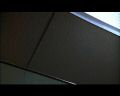 PDVD_1219.jpg