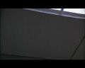PDVD_1249.jpg