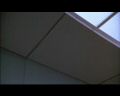 PDVD_1296.jpg
