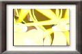 SaintSeyia_Hades_388.jpg