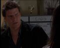 PDVD_415.jpg