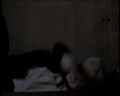 PDVD_535.jpg