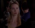 PDVD_317.jpg