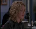 PDVD_356.jpg