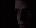 PDVD_326.jpg