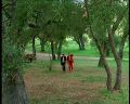 PDVD_126.jpg