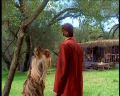 PDVD_182.jpg