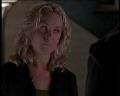 PDVD_400.jpg