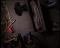 PDVD_480.jpg