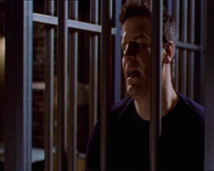 PDVD_095.jpg