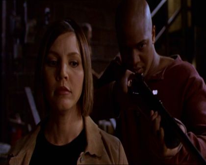 PDVD_102.jpg
