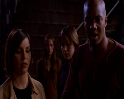 PDVD_113.jpg