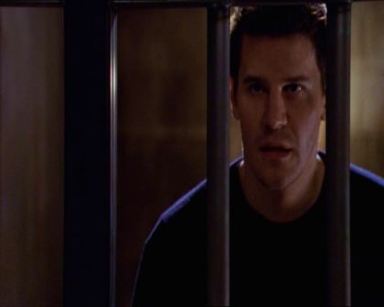 PDVD_255.jpg