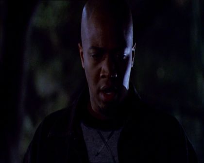 PDVD_370.jpg