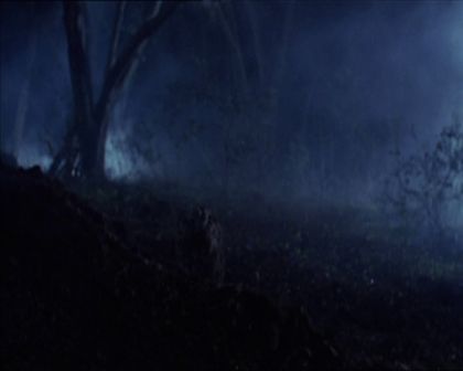 PDVD_377.jpg