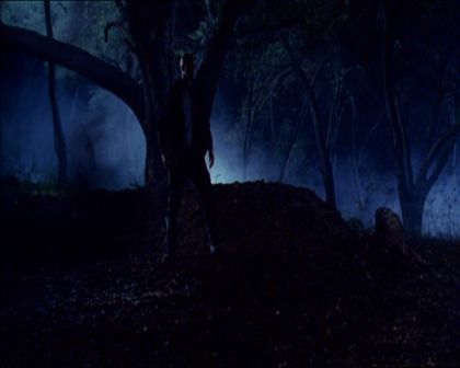 PDVD_380.jpg
