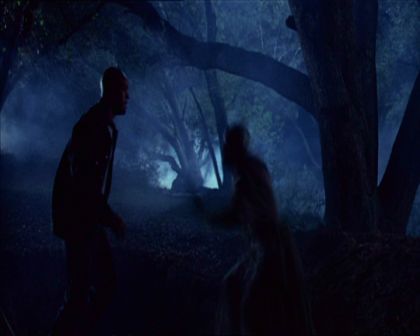 PDVD_381.jpg