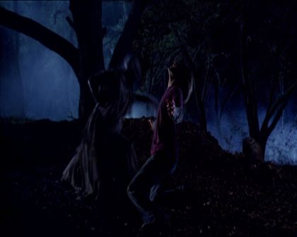 PDVD_385.jpg