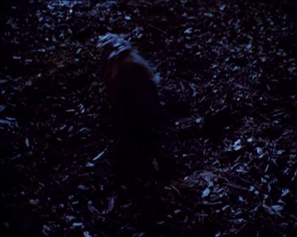 PDVD_393.jpg