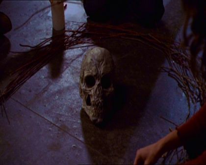 PDVD_453.jpg