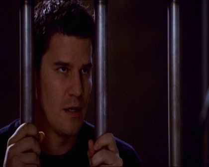 PDVD_466.jpg