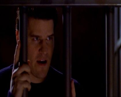 PDVD_478.jpg