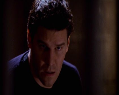 PDVD_495.jpg