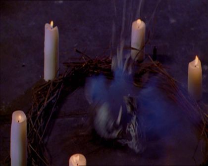 PDVD_518.jpg