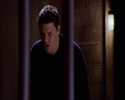 PDVD_530.jpg