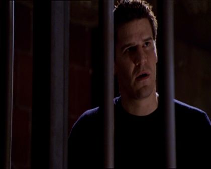 PDVD_546.jpg