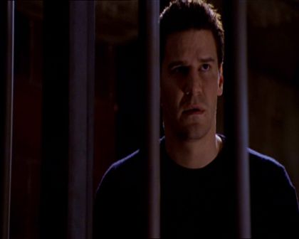 PDVD_554.jpg