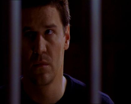PDVD_572.jpg
