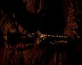 PDVD_415