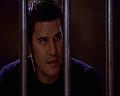 PDVD_461