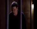 PDVD_530