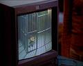 PDVD_622