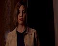 PDVD_730