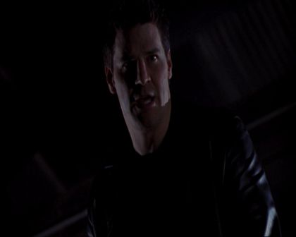 PDVD_324.jpg