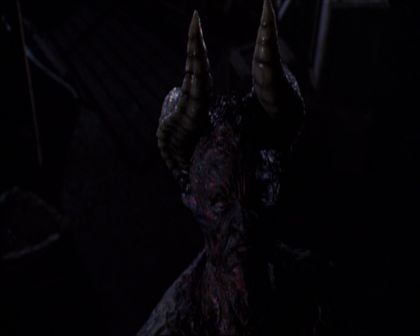 PDVD_326.jpg