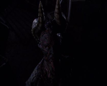 PDVD_327.jpg