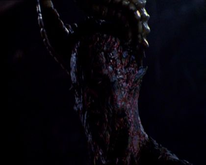 PDVD_335.jpg