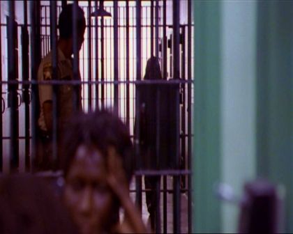 PDVD_382.jpg