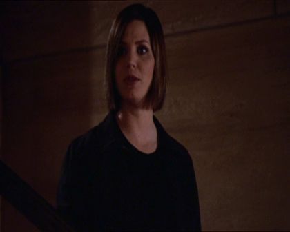 PDVD_538.jpg